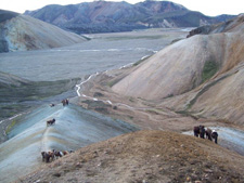 Iceland-Iceland Shorts-Sheep Round-Up on Horseback